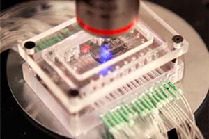 Lab on a chip