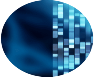 dna profile