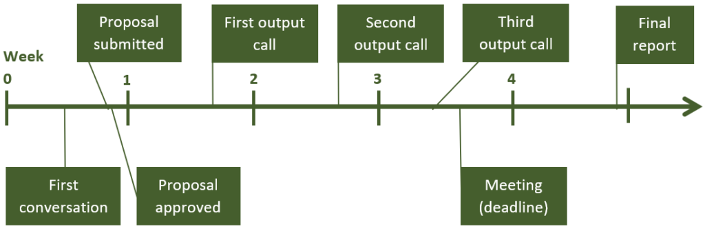 Project timeline