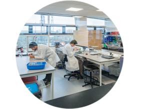 Springboard team in the lab