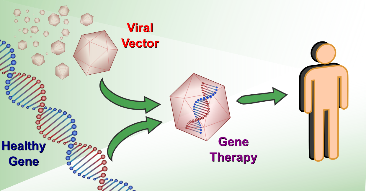 What are the challenges facing gene therapies? | Springboard